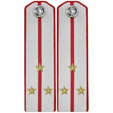 Административная служба ВМФ СССР. Младший офицерский состав, погоны обр. 1943 г.